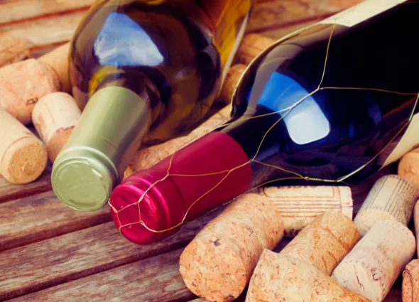 Descubre la diversidad en tintos, blancos y rosados en la tienda y exposición de Magda Nadal. Vinos para regalar en Navidad o para tus momentos especiales. D.O. Terra Alta, D.O. Penedès, D.O. Ribera del Duero y D.O. Rioja.